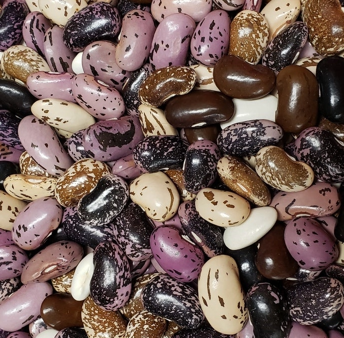 Runner Bean: Milky Fork