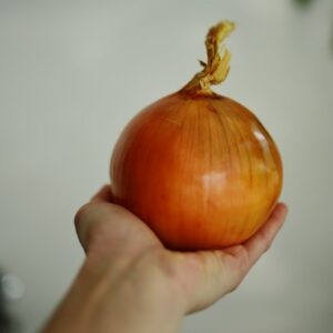 Large globe-shaped Ailsa Craig onion.